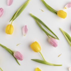 2021年春夏トレンド・フローラル